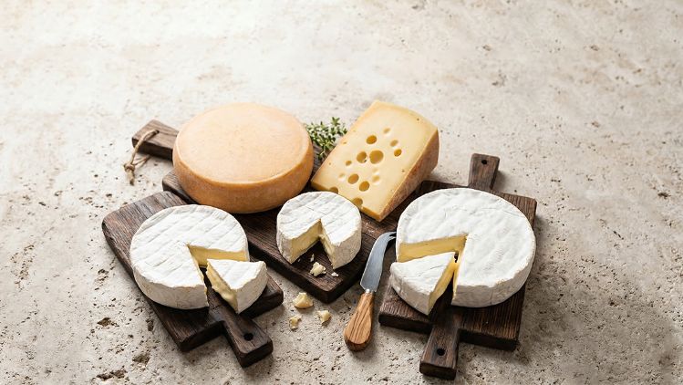 Mexideli Marcas - Ermitage