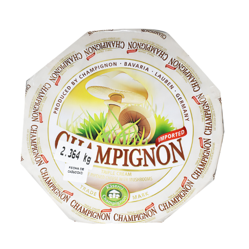 queso-champignon-mushroom