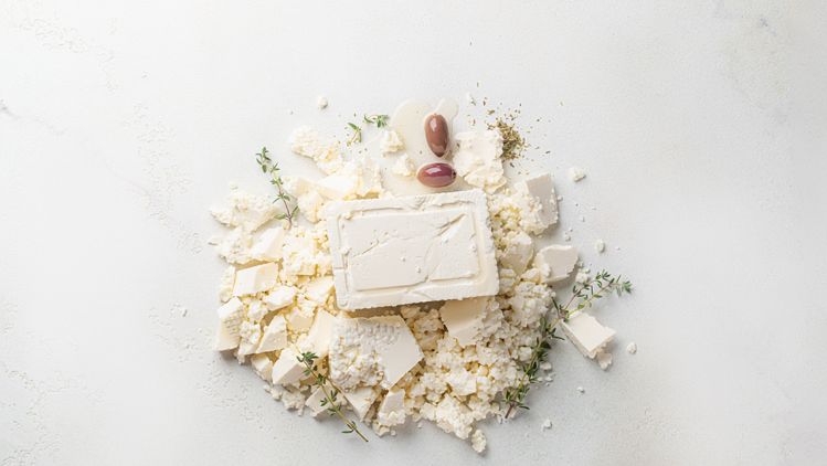 Mexideli Marcas - Odyssey