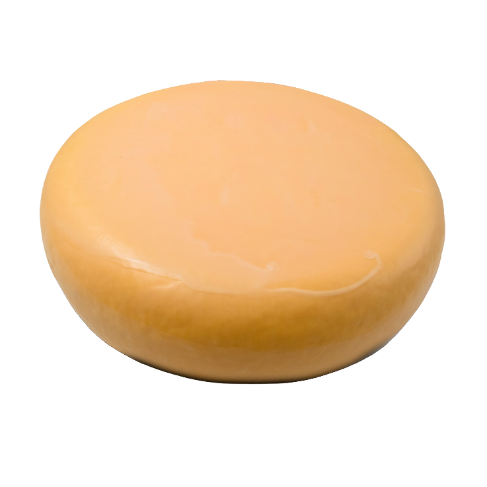 queso-elite-gouda-12-kg