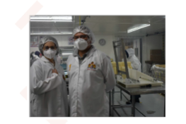 2005_Mexideli_planta-rebanado