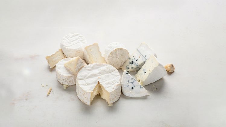 Mexideli Marcas - Käserei Champignon